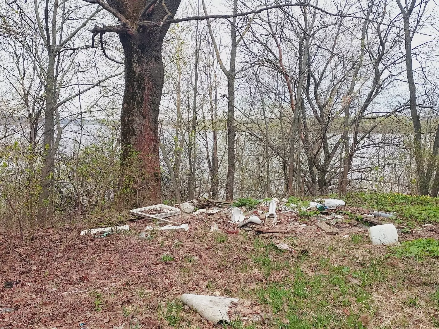 Разрушения и мусор в парке «Швейцария»