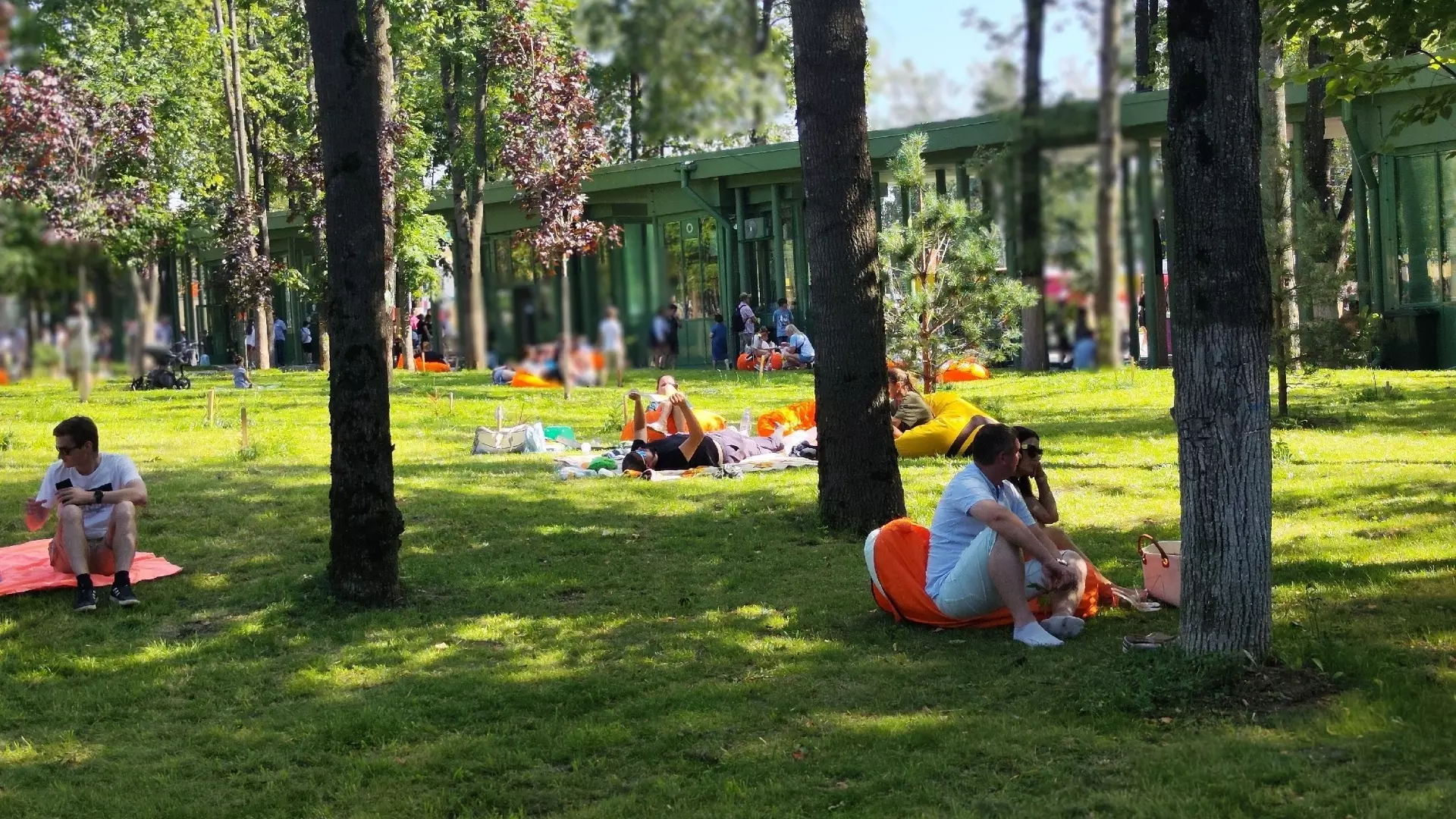 Какой будет культурная программа в Нижнем Новгороде летом