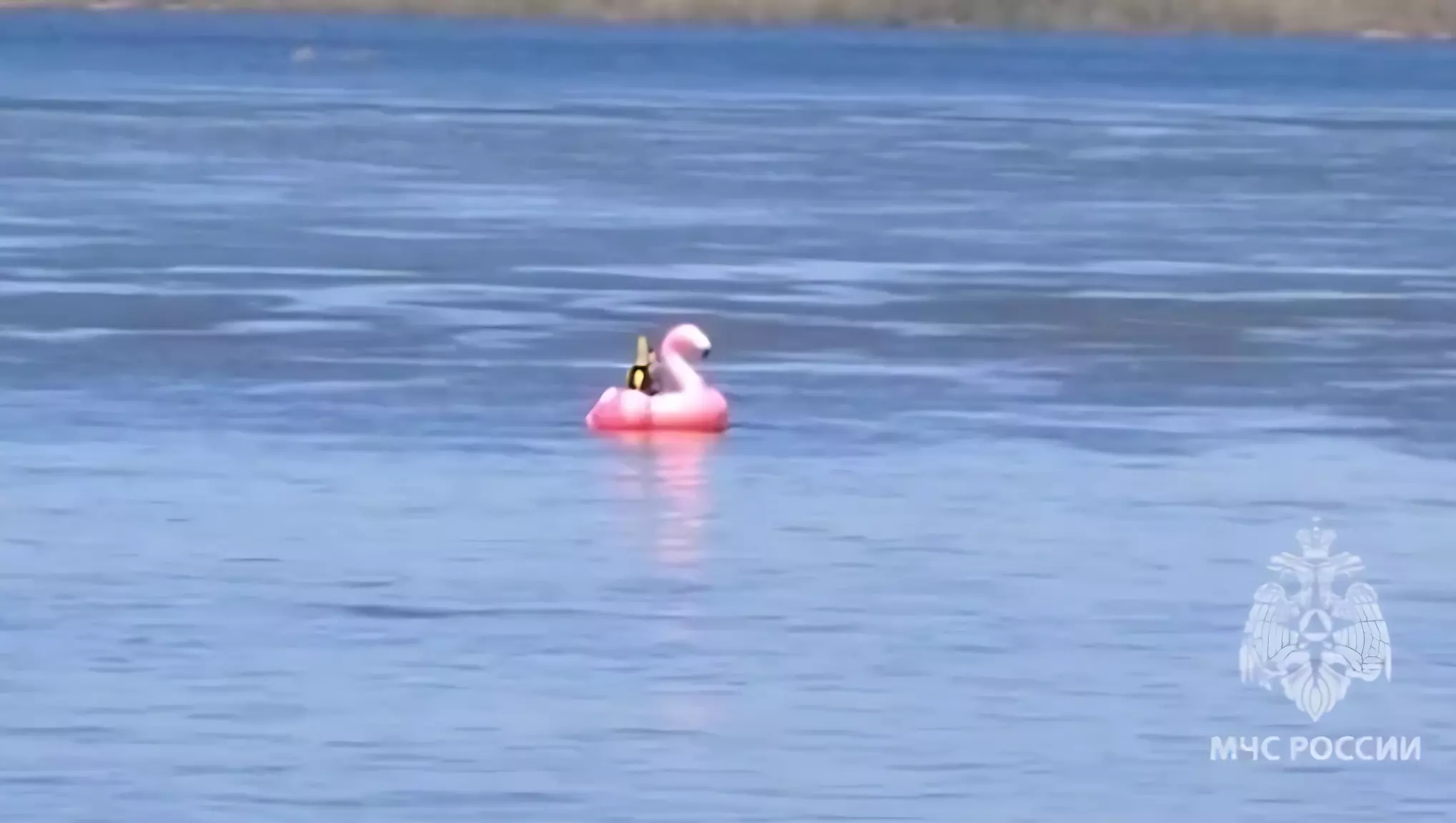 Блогершу на надувном фламинго спасали из воды